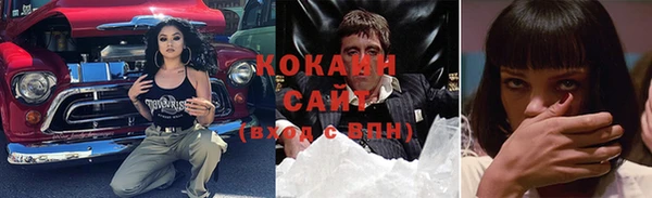 крисы Щёлкино