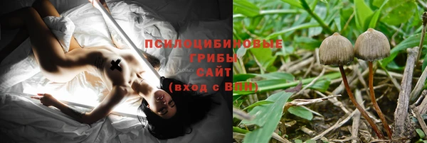 таблы Надым