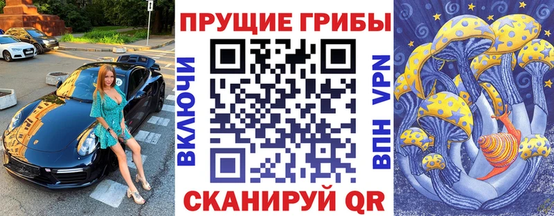 Псилоцибиновые грибы Psilocybine cubensis  хочу наркоту  Мензелинск 
