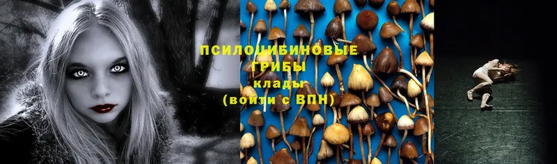 купить закладку  MEGA ссылки  Галлюциногенные грибы MAGIC MUSHROOMS  Мензелинск 